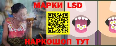 шишки Дубна