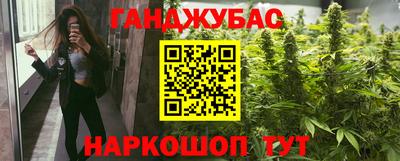 шишки Дубна