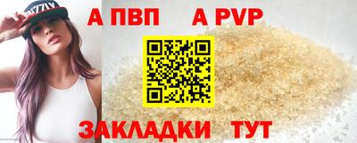 шишки Дубна