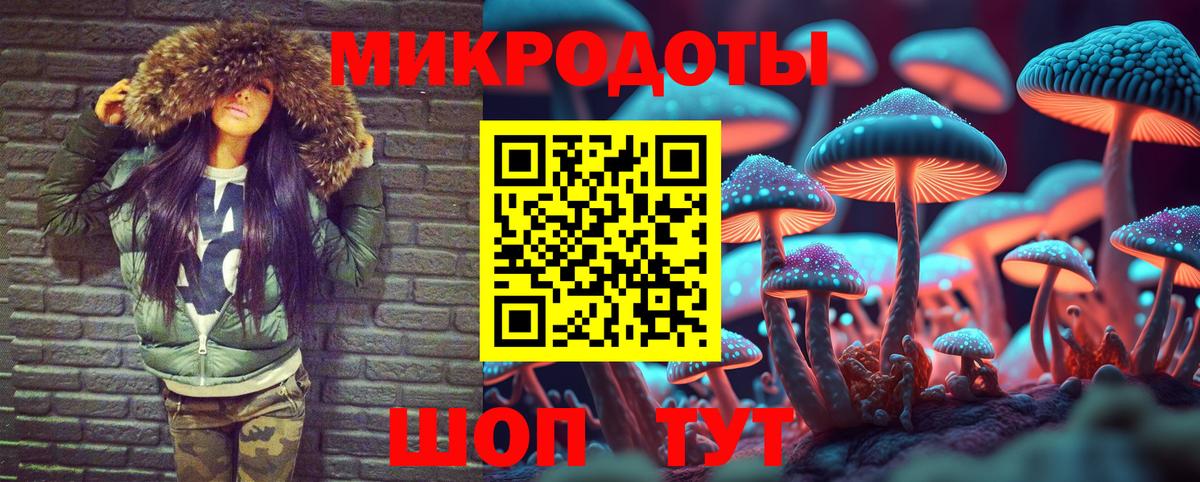 Кунгур  Псилоцибиновые грибы MAGIC MUSHROOMS  Вход с VPN 