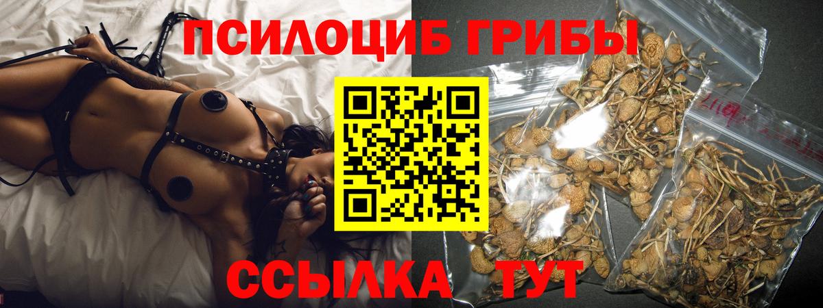 Галлюциногенные грибы MAGIC MUSHROOMS Кунгур