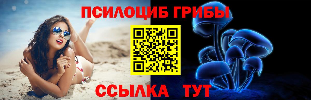Альфа ПВП Кунгур